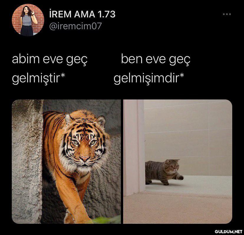 İREM AMA 1.73 @iremcim07...