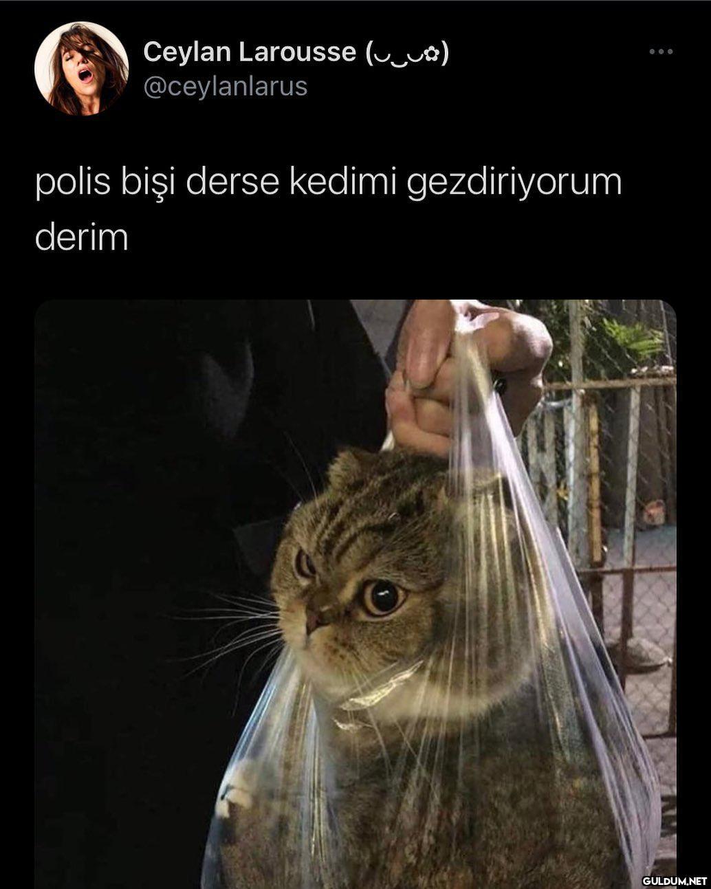 södmwçödöemdöemfle  Ceylan...
