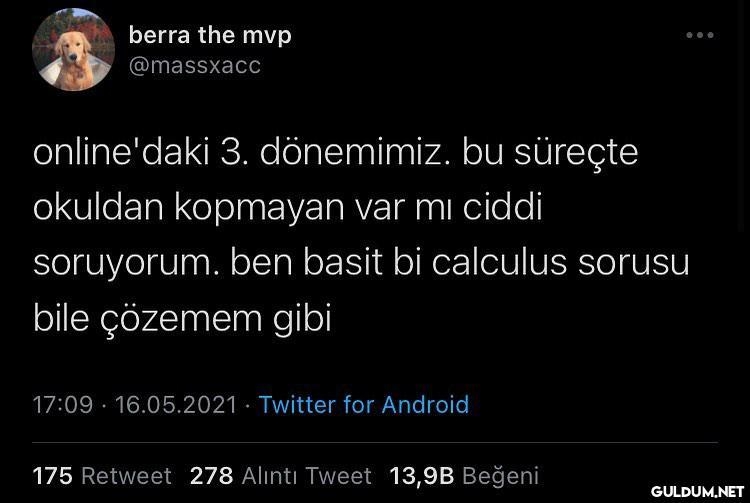 berra the mvp @massxacc...