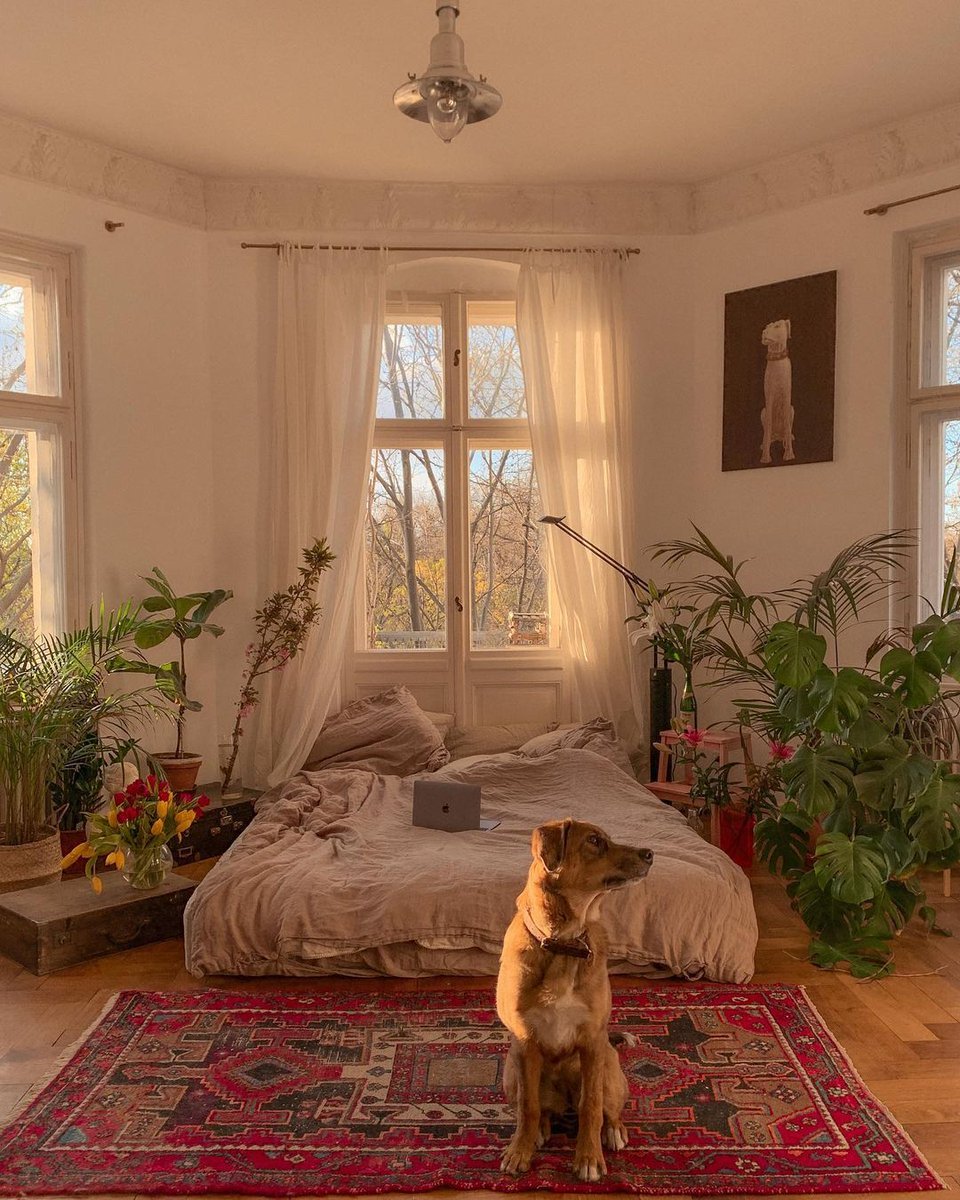 Berlin’de yaşayan Casa...
