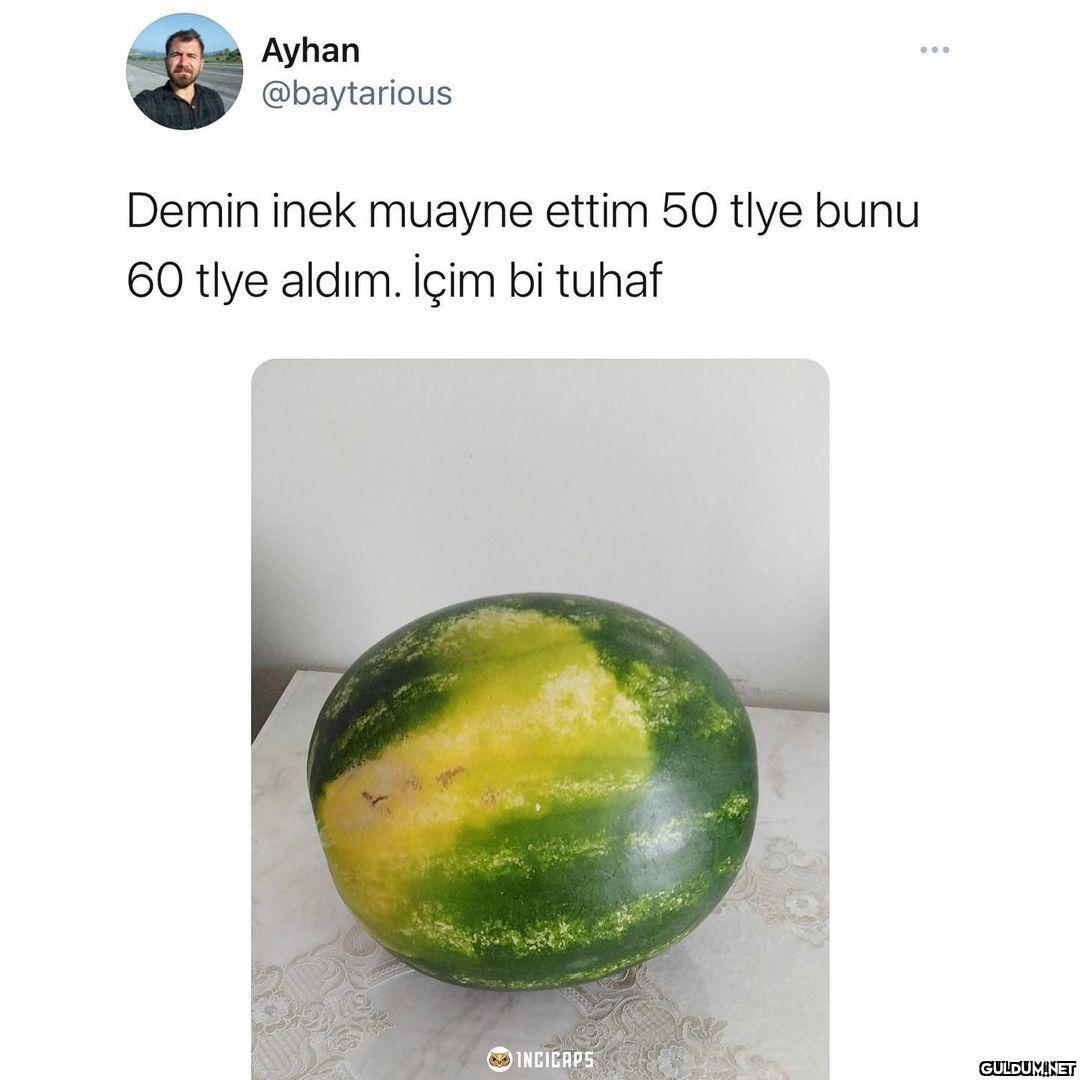 Ayhan @baytarious ......