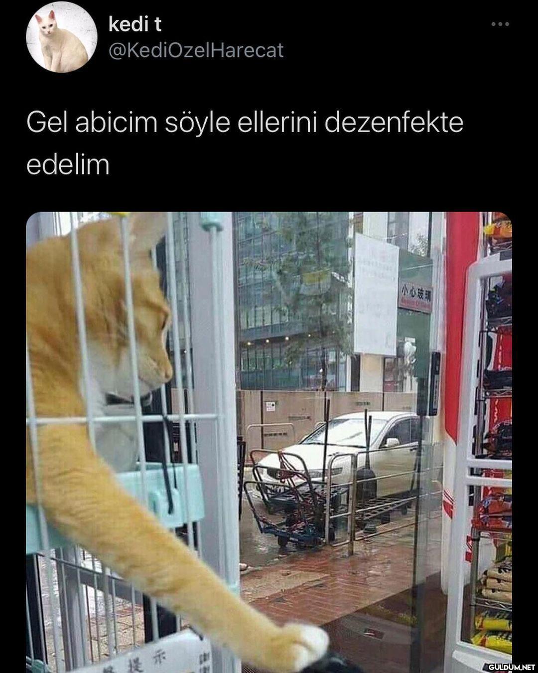 beni sevmeden önce o...