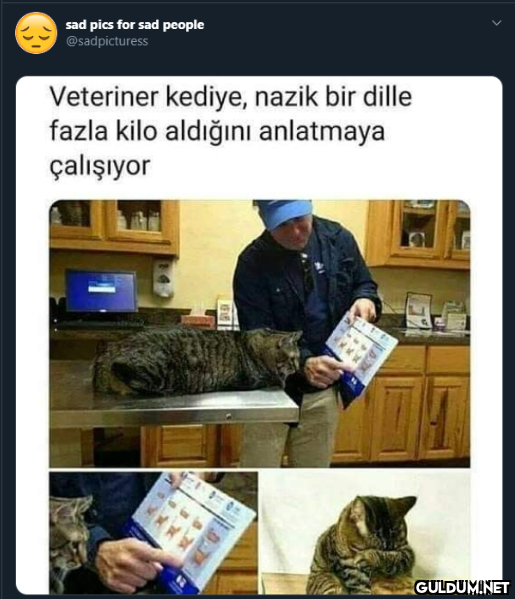 sad pics for sad people...