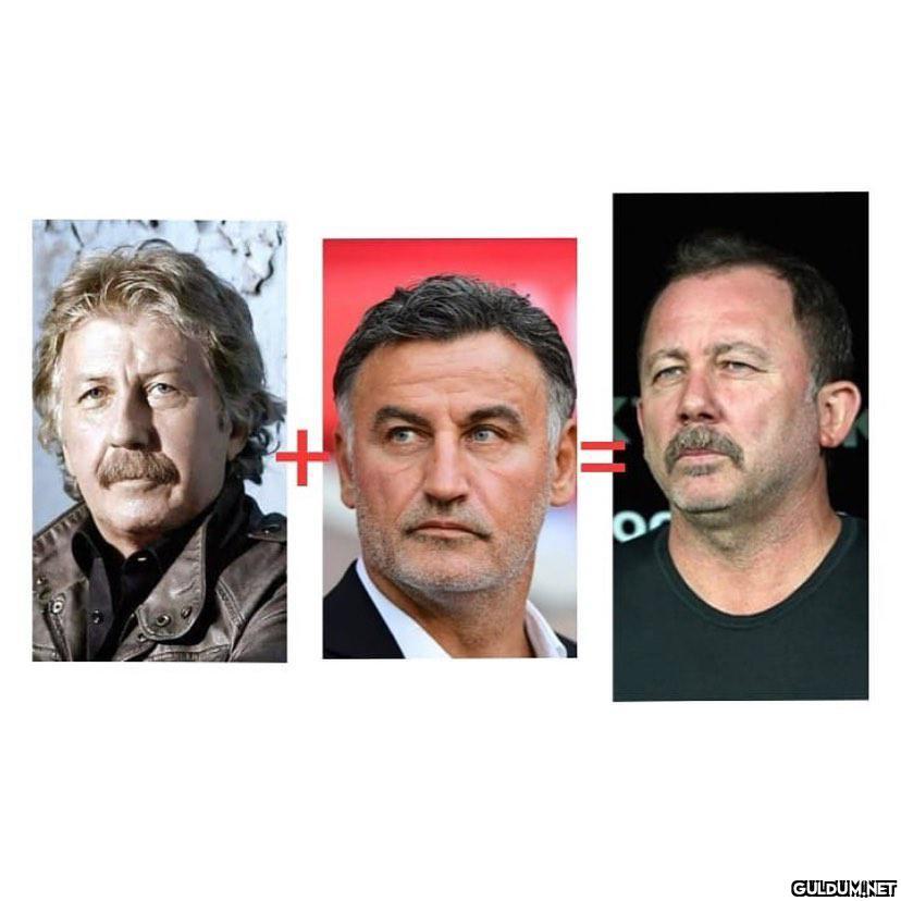 TPA ifadesi içeren kısa...