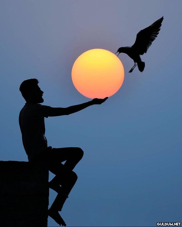 Fotoğraf sanatçısı Sulab...