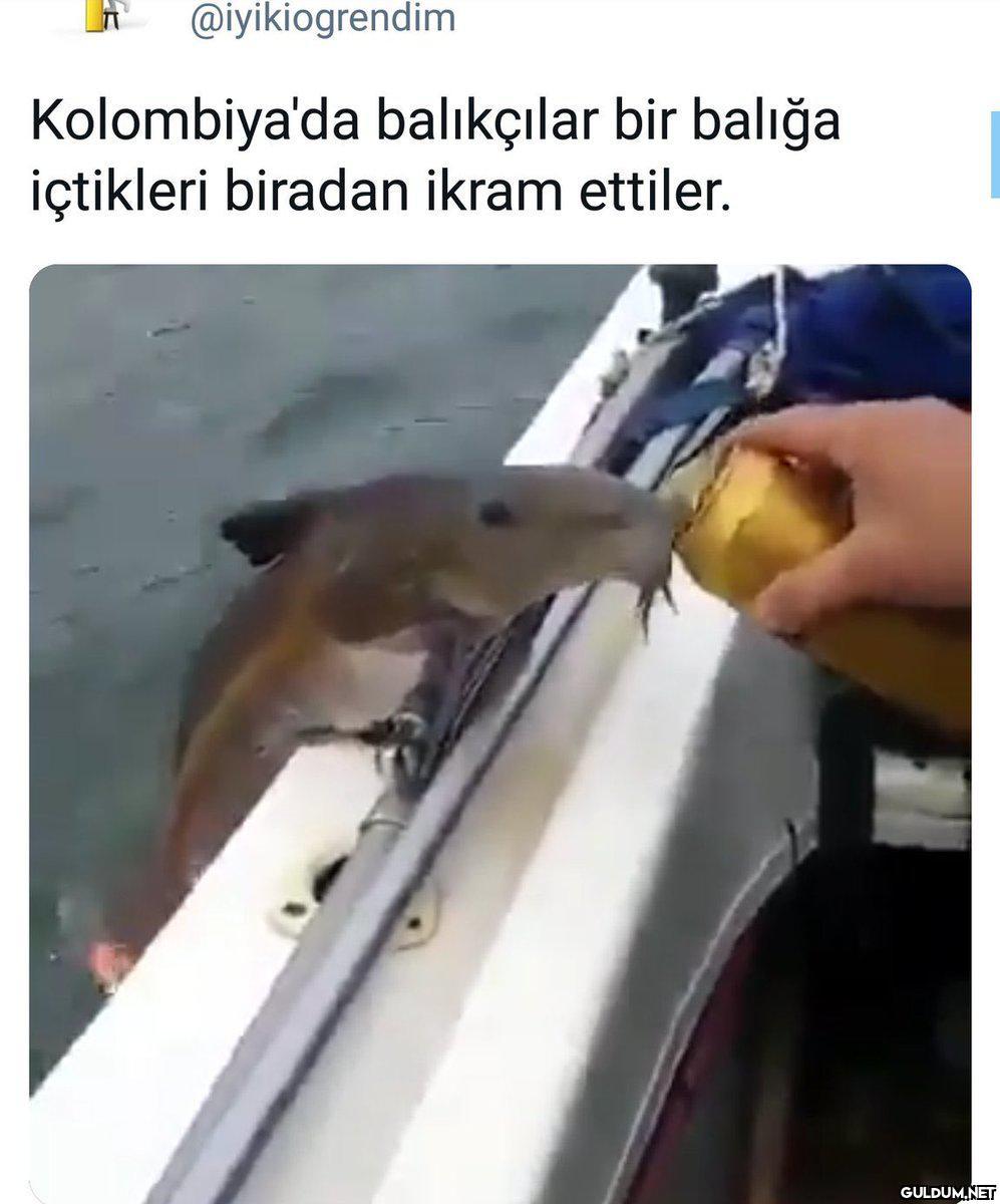 İyi geceler...