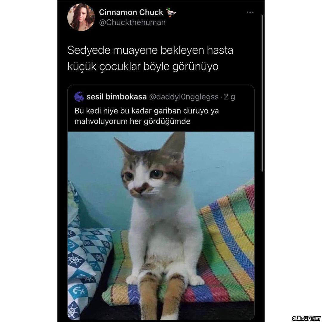 Cinnamon Chuck...
