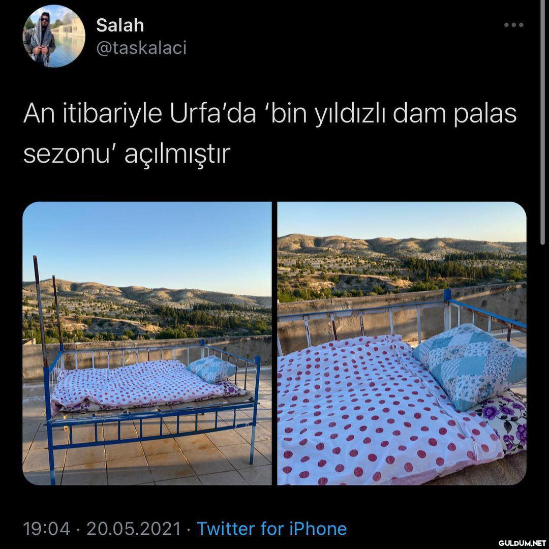 Çok iyi değil mi  Salah...