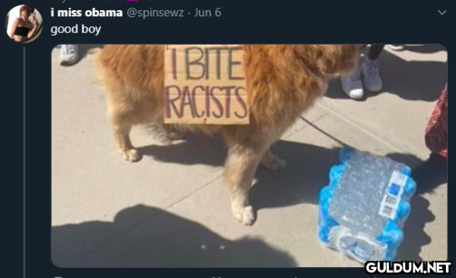 Popular post