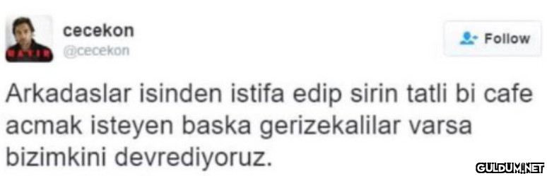 cecekon * Follow @cecekon...