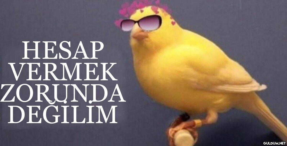 @satrayni    HESAP VERMEK...