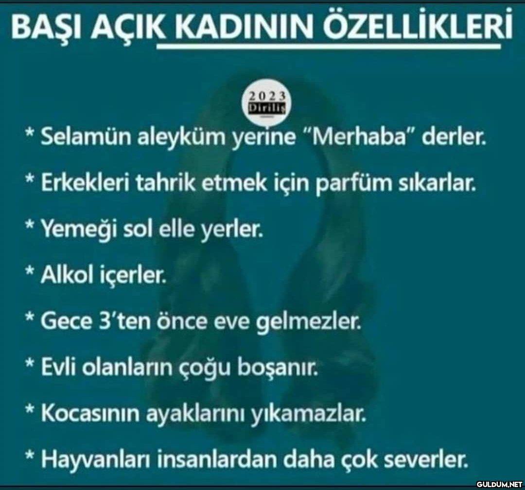 Sizin en başı açık...