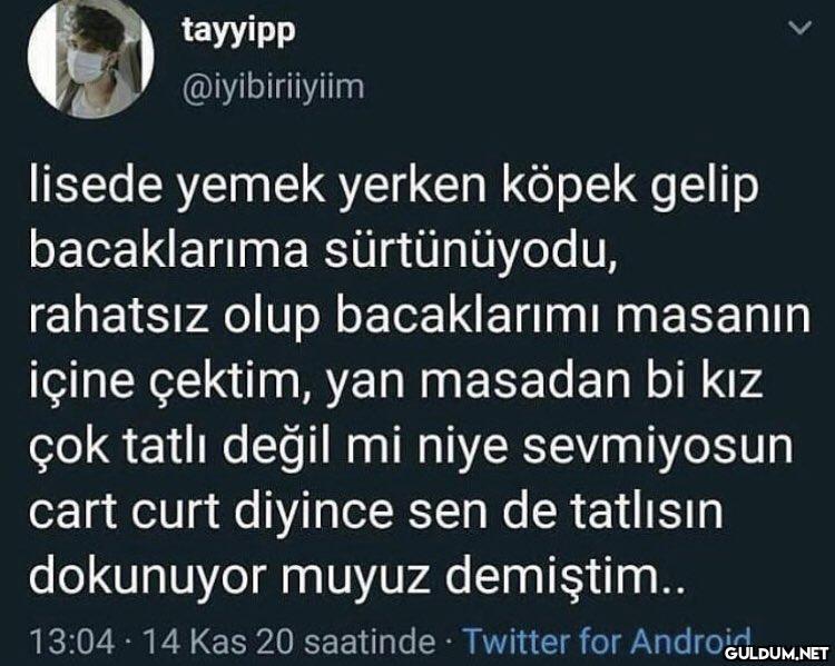 tayyipp @iyibiriiyiim...