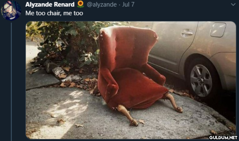Alyzande Renard O...