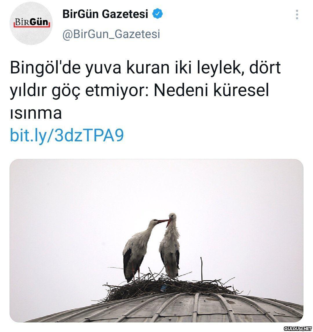 BirGün Gazetesi O BİRGÜN,...