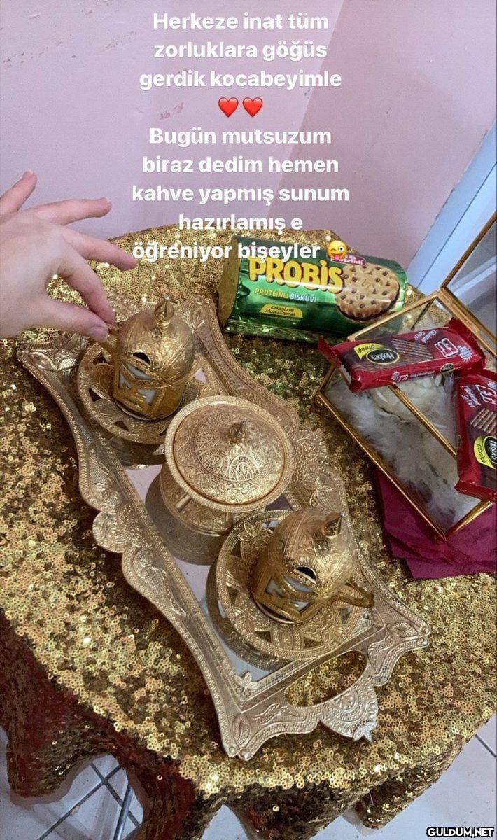 Oraya probis oldu mu şimdi...