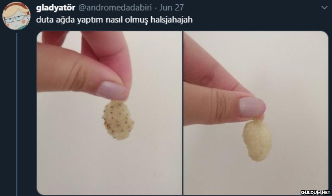 gladyatör @andromedadabiri...