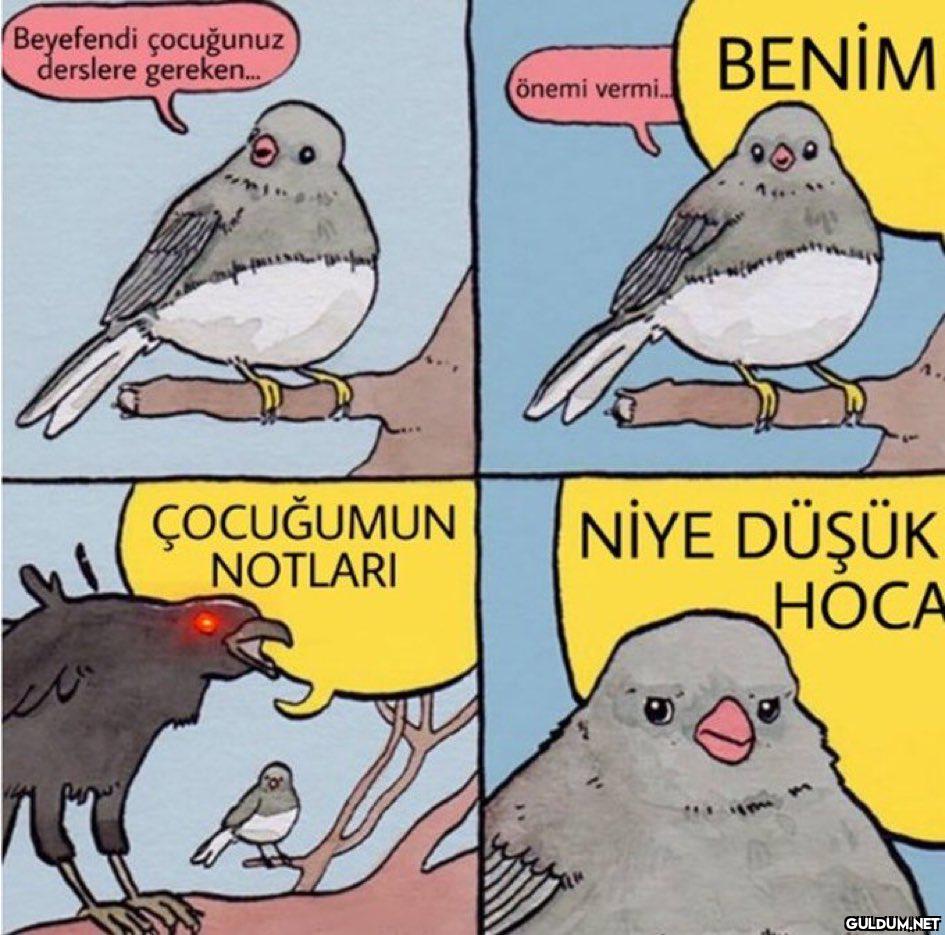 Popular post