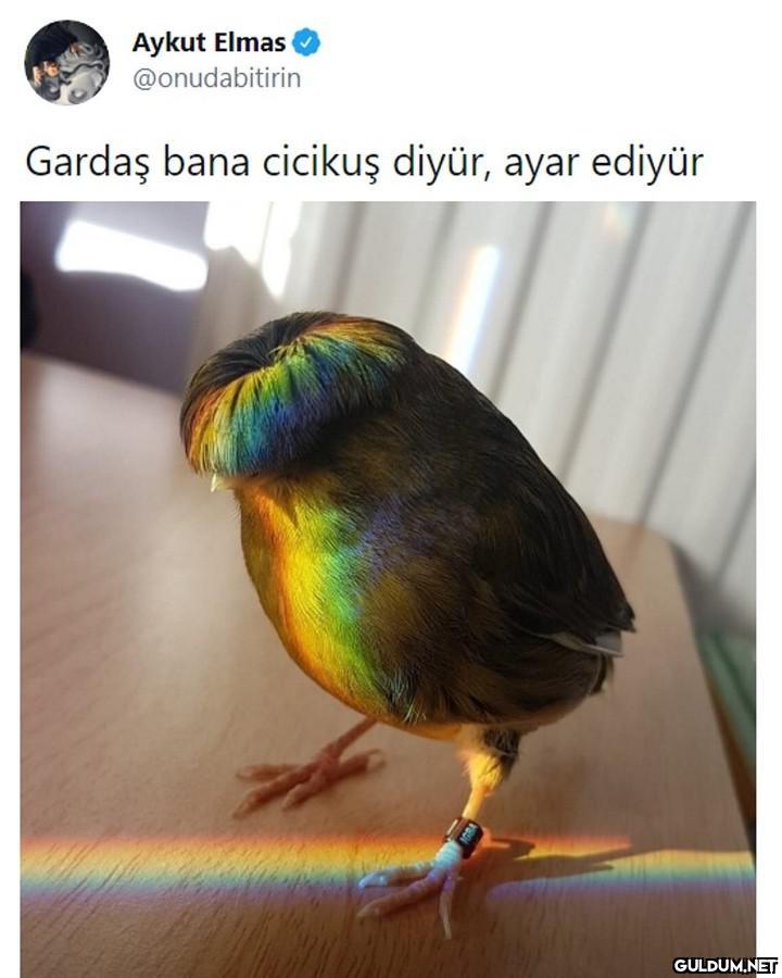 Aykut Elmas @onudabitirin...