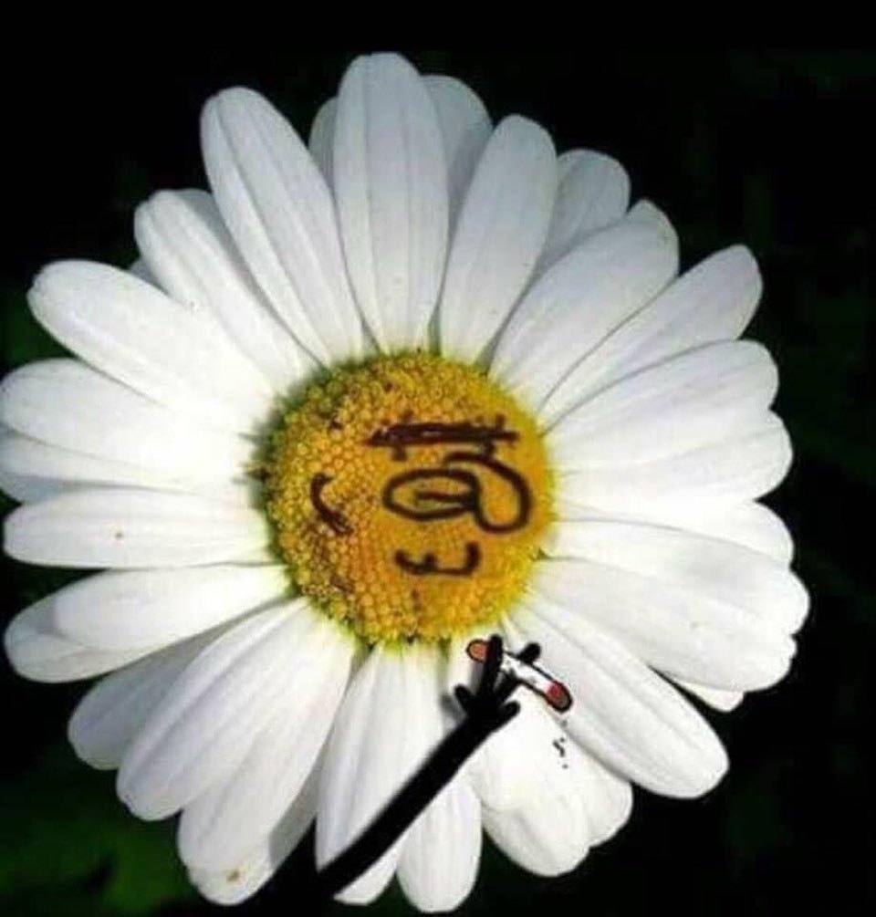 #pazartesi

_______________...