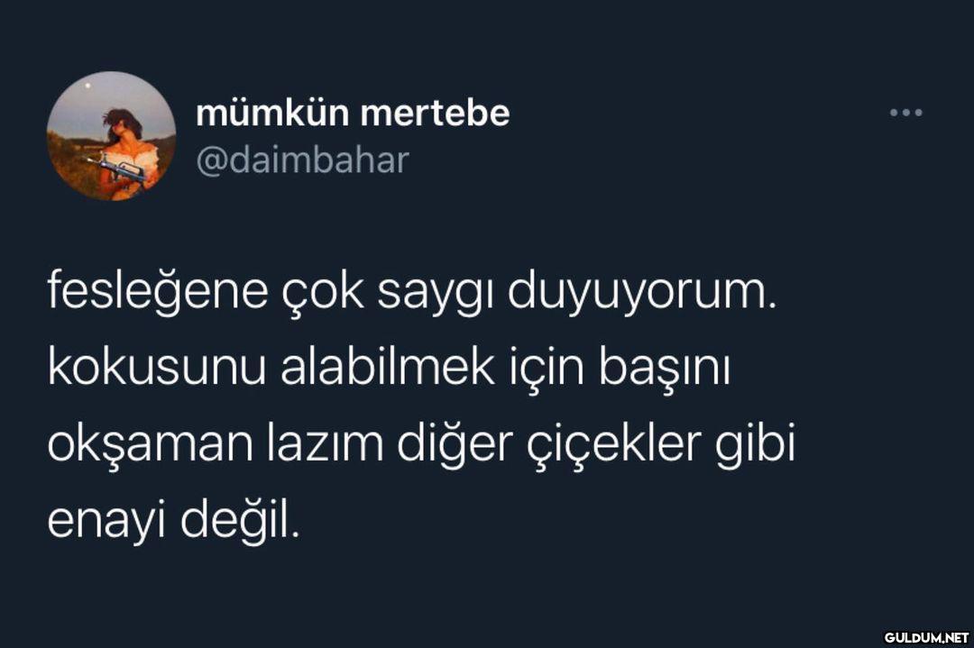 mümkün mertebe @daimbahar...