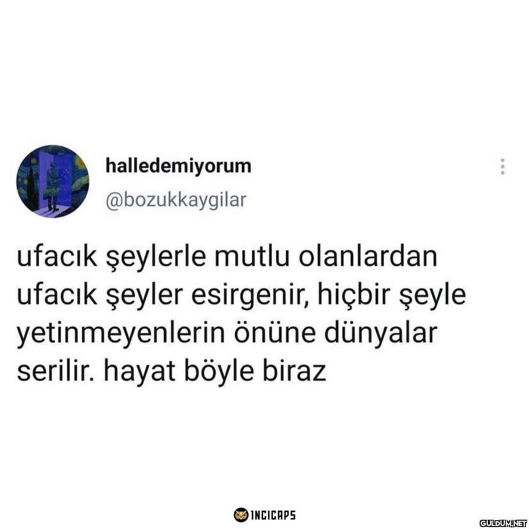 halledemiyorum...