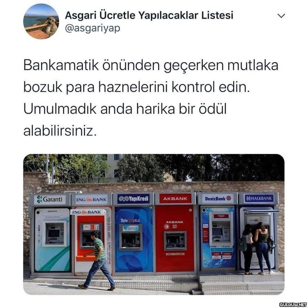 "Aşırı Pintiler"...