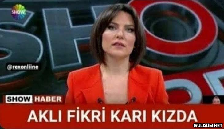 etiketle bakalım  SHOV...
