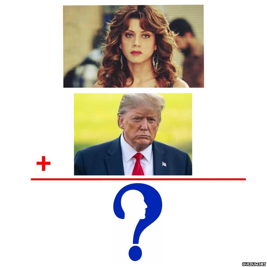 Gökçe Bahadır + Donald...