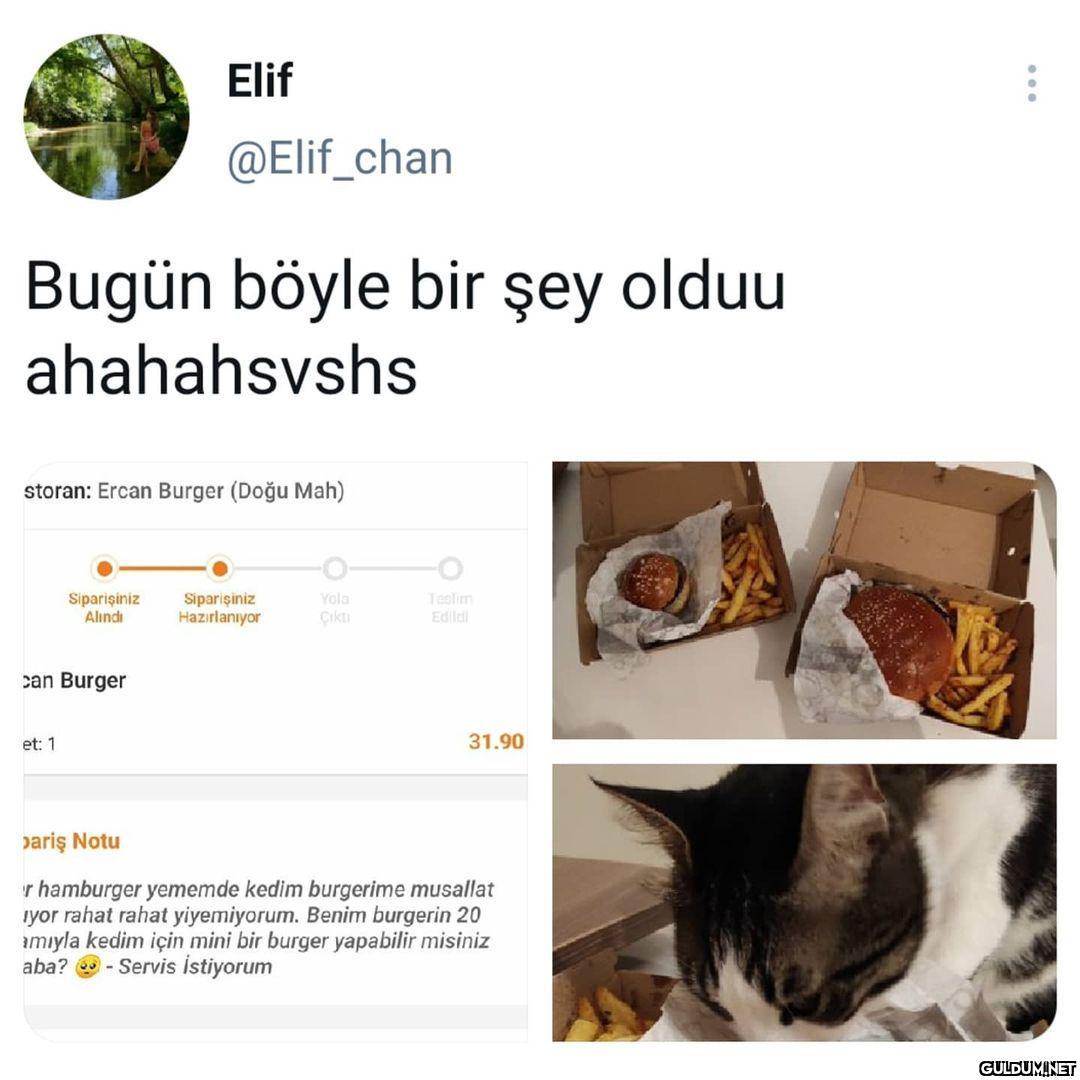 😂😂 (Kaydırmalı)  Elif...