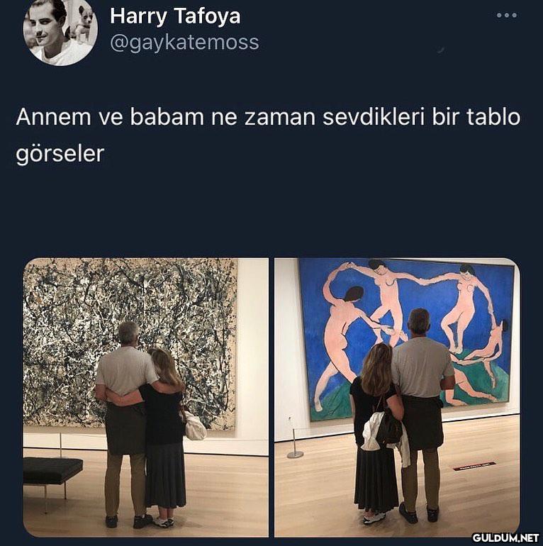 Harry Tafoya @gaykatemoss...