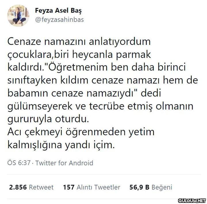 Feyza Asel Baş...