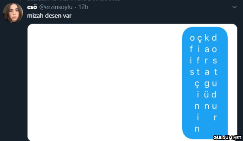 esö @erzinsoylu · 12h...