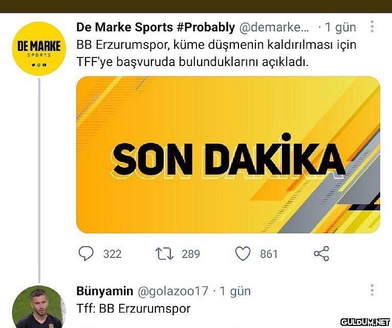 hahdjskdjfjskdv  De Marke...