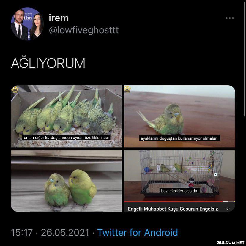 Barr ilm irem...