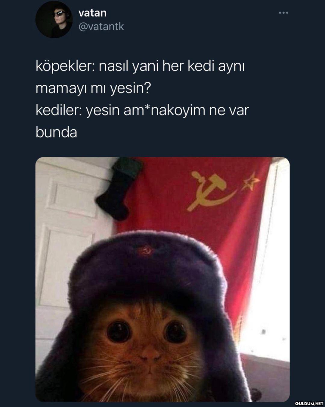 catipalizm  vatan @vatantk...