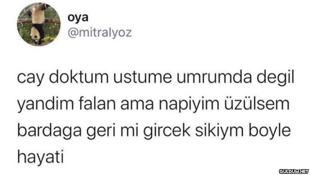 Haklısın Oya  oya...