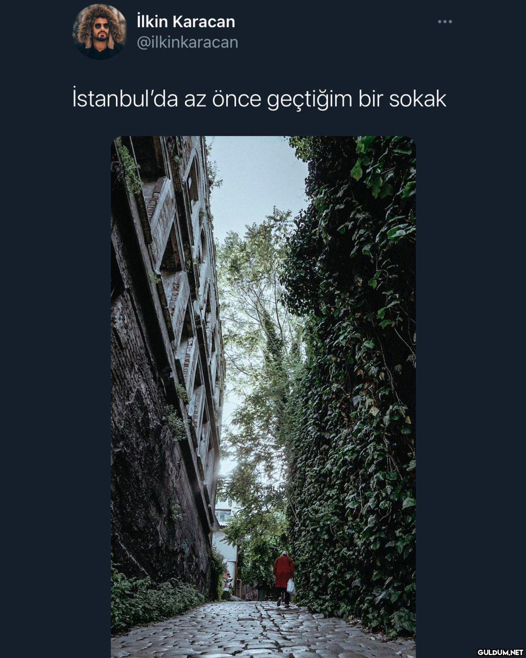 şu güzelliğe bak..  İlkin...