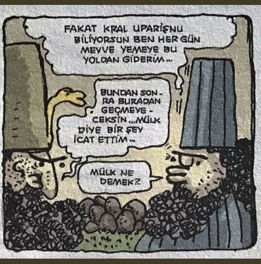 "Sadece mülk sahibinde...