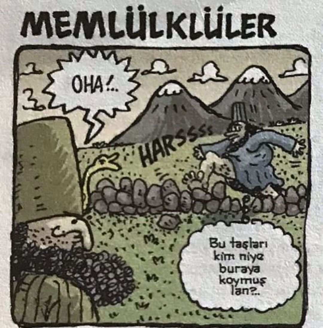 "Sadece mülk sahibinde...