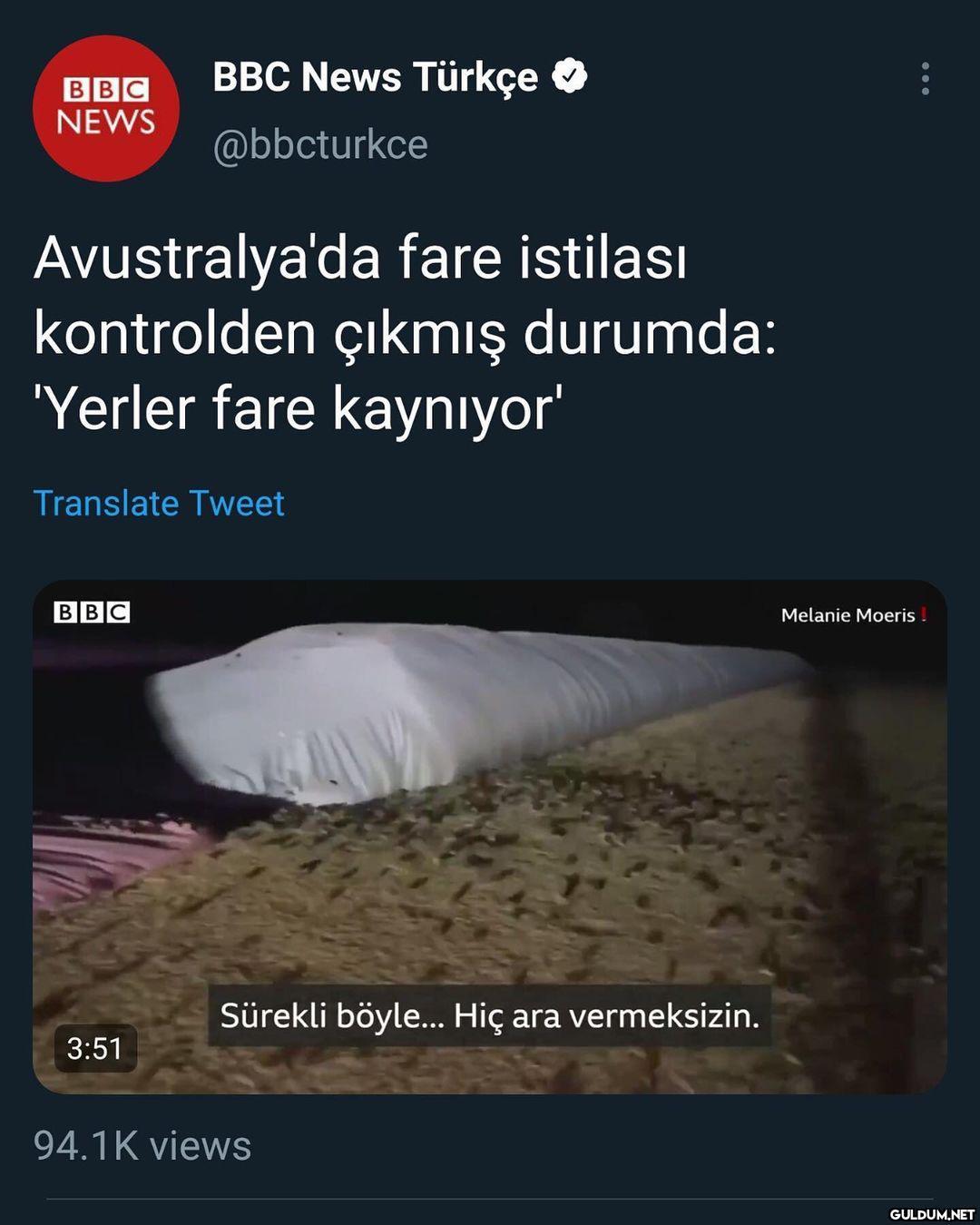 BBC News Türkçe BBC NEWS...