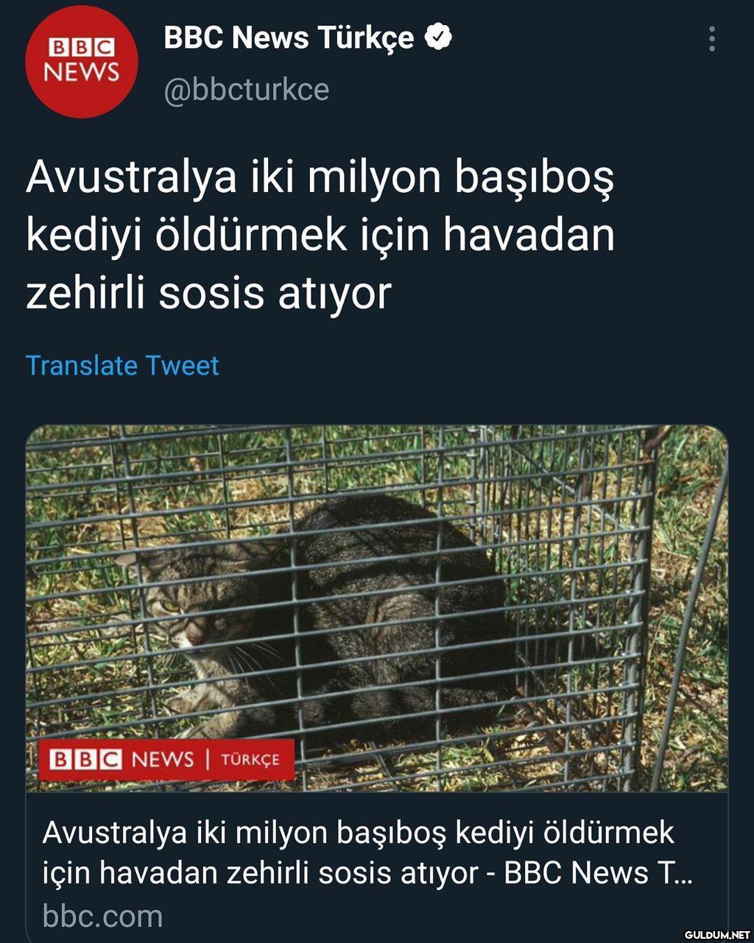 BBC News Türkçe BBC NEWS...