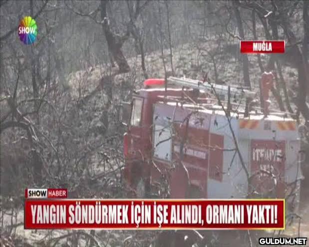 Türkiye'de liyakat...