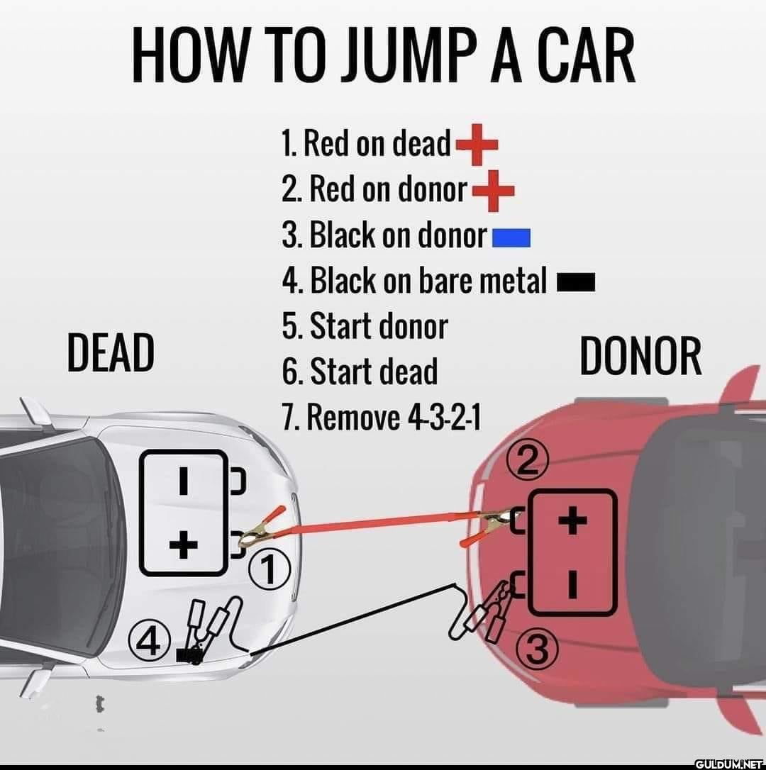 20. A Cool Guide on how to...