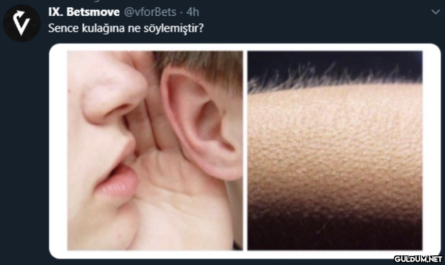menşınla katılım...