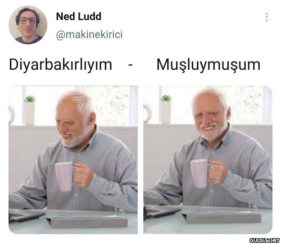 Ned Ludd @makinekirici...