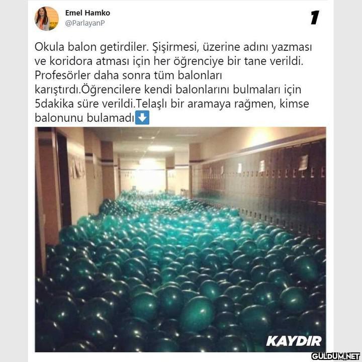Emel Hamko 1 @ParlayanP...