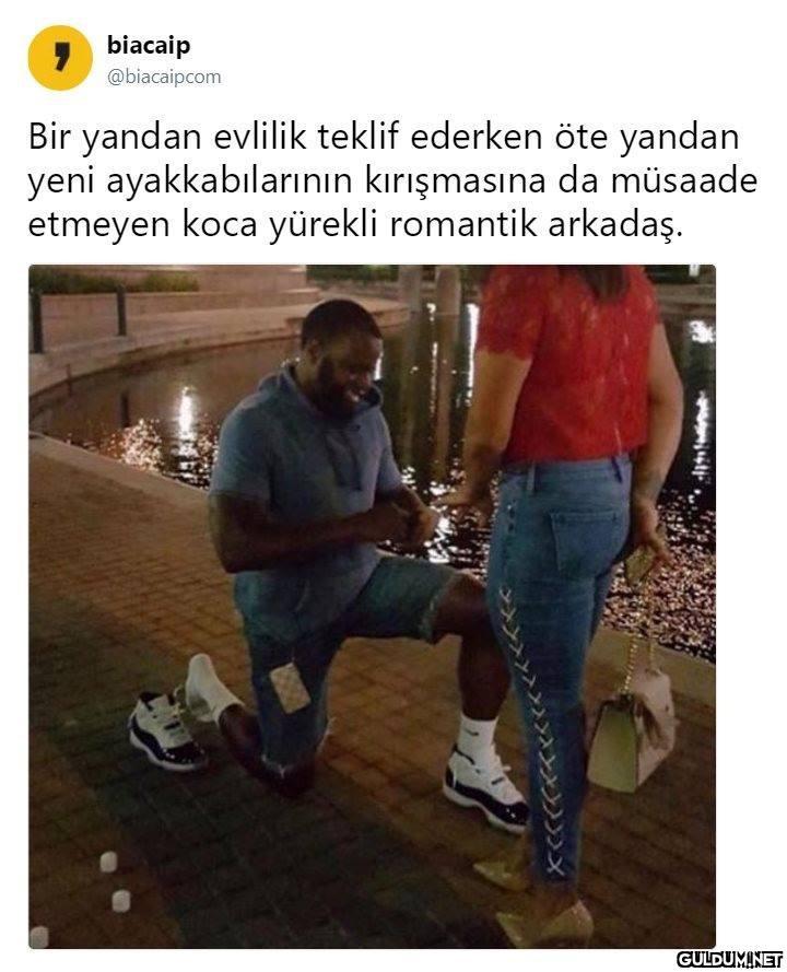 biacaip @biacaipcom Bir...