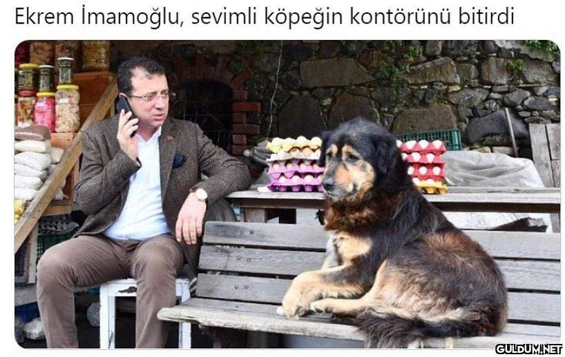Yazıklar olsun...