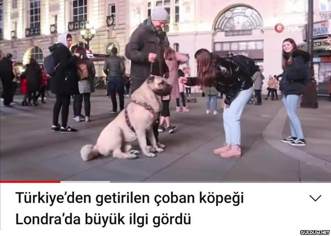 Var bi hayalimiz...  VHI...